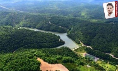 Adrese teslim talan: Beykoz’da ormanlık alanların da bulunduğu birçok alanın sit derecesi düşürüldü