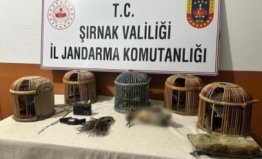 Şırnak’ta keklik avcılarına para cezası!