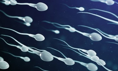 Dünyanın en büyük sperm bankası, bir şube daha açtı: Aylık bağış kazancı Türkiye'deki asgari ücrete eşit