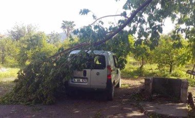 Muğla'da fırtına: Ağaçlar devrildi, çatı uçtu