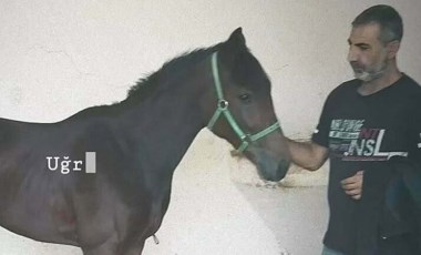 Tek yumruk darbesiyle hastanelik olan seyisten 97 gün sonra acı haber