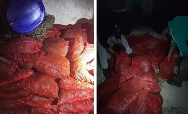 Yalova'da ele geçirildi... Hepsi kaçak: Toplamda 1 ton 150 kilo!