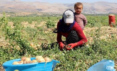 Mevsimlik tarım işçilerinin çalışma koşullarının iyileştirilmesine yönelik yeni düzenlemeler Resmi Gazete’de