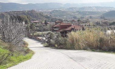 Hatay'da 2 mahalleye kuduz karantinası!