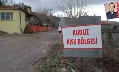 Uzmanlar Hatay için defalarca uyardı, umursanmadı ve felaket geldi: Dikkat kuduz var!