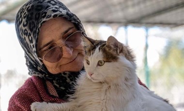 Müstakil evinin bir katını sokak kedilerine yuva yaptı