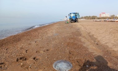 Antalya'da yüzlerce denizanası kıyıya vurdu