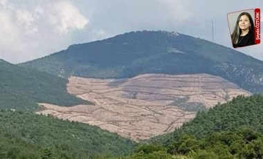 Kıyımlarıyla tanınan şirketin ruhsat alanlarına komşu bölgeler kamulaştırıldı: Türkiye’de vahşi madencilik genişliyor