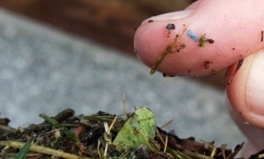 Tarihi kalıntılarda dahi mikroplastiklere rastladı