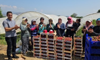 Tarım işçileri 1 Mayıs'ı meydanda değil, tarlada kutladılar