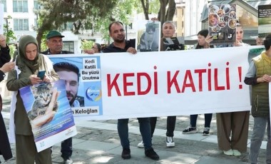 Beyazıt Meydanı'nda kedi ölümlerine protesto