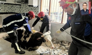 Kahramanmaraş merkezli deprem, hayvancılığı ve çiftçiyi vurdu