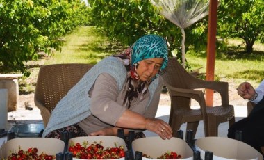 Honaz’da erkenci hasat başladı: 5 bin ton rekolte bekleniyor