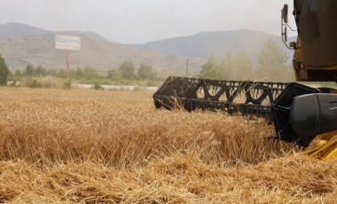 Ekmek fiyatlarını etkileyecek! Buğday fiyatlarına dair tahminler belli oldu