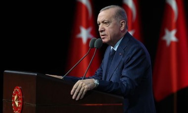 Erdoğan ‘bu iş çığrından çıktı’ diyerek kızdı: AKP’de ‘sokak hayvanları’ zirvesi!