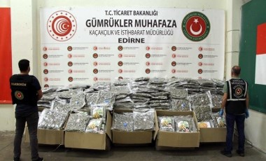 Kapıkule'de TIR'da 370 kilo esrar ele geçirildi