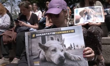 Hayvanseverlerden TBMM önünden tepki: 'Hayvanları hedef gösteremezsiniz'