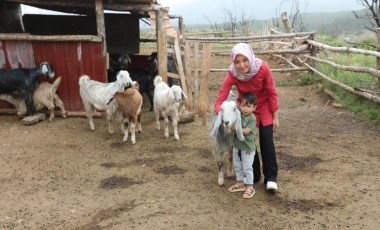 Muğla’da “Kıl Keçisi” projesiyle kadınlar kazanıyor