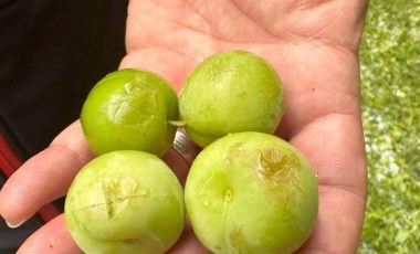 Iğdır'ın köylerini dolu ve sağanak vurdu; ulaşım aksadı