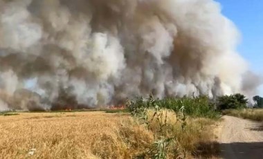 250 dekarlık tarla kül oldu: Hasada 'temizlik ateşi' düştü