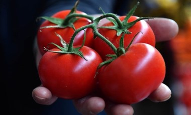 Antalya Hali'nin halleri: Domatesin fiyatı nasıl belirleniyor?