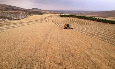 Adıyaman’da hasat geç başladı: Yüksek verim bekleniyor!