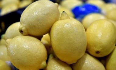 Limonlar Bulgaristan tarafından geri çevrilmişti.... Üretici ve ihracatçı firmalar hakkında soruşturma