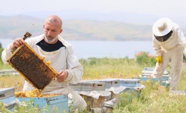 Arıcılar endişeli: Meteorolojik hafıza silindi! Arılar strese girdi...