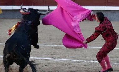 Kolombiya, boğa güreşini yasaklıyor