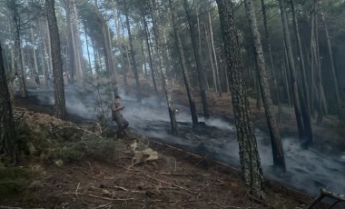 Muğla’da orman yangını!