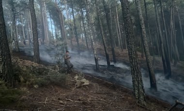 Muğla'da orman yangını!