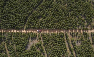 Edirne'de ormanlık alanlara girişler 15 Ekim'e kadar kısıtlandı