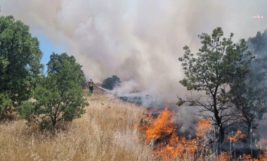 Yangın riski taşıyan 27 ilde ormanlara giriş yasağı