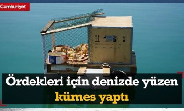 Bu da yüzen kümes! Ördekleri için denizde yüzen kümes yaptı