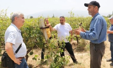 Manisa'da hasar gören üreticilere destek sağlanacak