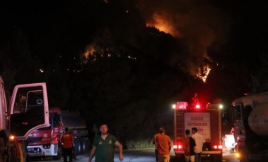 Denizli'de orman yangını!