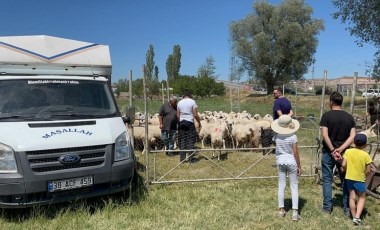 Kurbanlıkların satışından elde edilen 535 bin TL çalındı