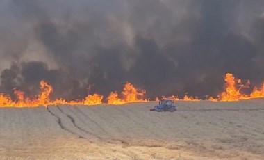 Diyarbakır'da 100 dönüm buğday ekili arazi yandı