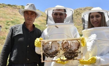 Dünyanın en kaliteli balını üretmek için Mereto Dağı'na çıkıyorlar