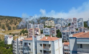 İzmir'de orman yangını: Müdahale sürüyor!