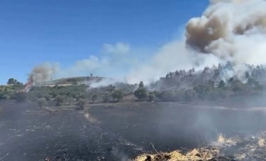 Balıkesir'de anız yangını, ağaçlandırma sahasına sıçradı! Saatler sonra kontrol altına alındı