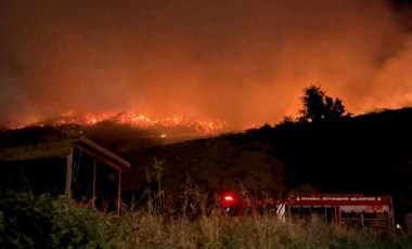 İstanbul Sarıyer'de otluk alanda yangın! Valilikten açıklama geldi