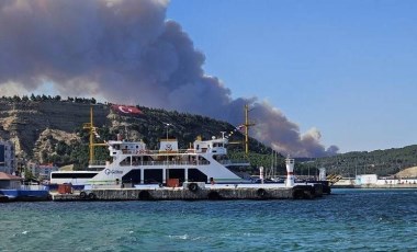 Son Dakika... Çanakkale'de orman yangını!