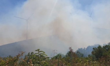 Balıkesir’de çıkan orman yangını kontrol altına alındı