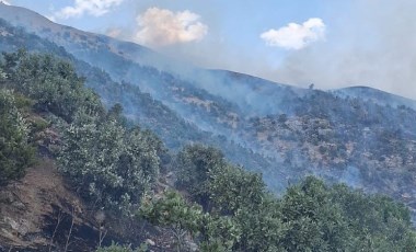 Siirt'te çıkan orman yangını, 6 saatte kontrol altına alındı