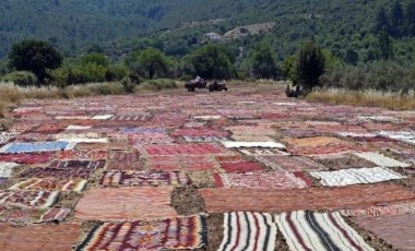 ABD'lilerin gözü bu tarlada: Büyük talep görüyor