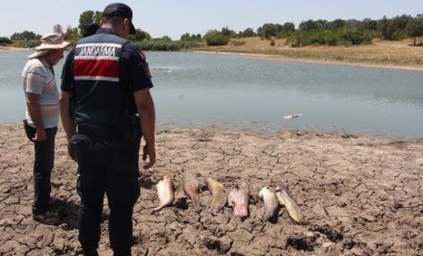 Edirne'de gölette toplu balık ölümleri