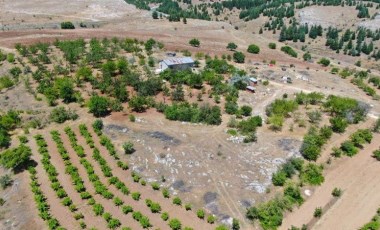 Medeniyetler beşiği 5 bin yıllık Harput'ta hasat erken başladı