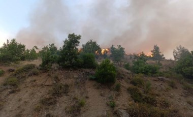 Kızılçam ormanında korkutan yangın!