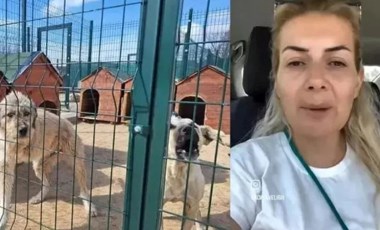 'Köpekvelisi' hesabının sahibi Buket Özgünlü tahliye edildi